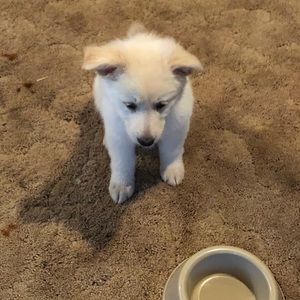 Meet your Posher, Garrett